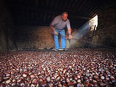 Essiccatoio a Perlo in Piemonte