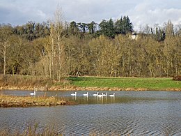 Saint-Julien-de-Chédon - Vedere