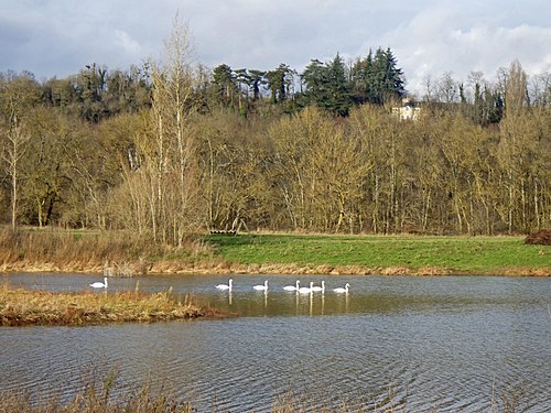 Volet roulant Saint-Julien-de-Chédon (41400)