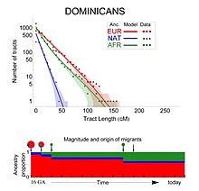 Timeline of the Dominican Republic's genetic make-up since 500 years ago showing the impact of migrations. The founder Dominican population was mostly White European in origin with some Native Taino element, but was modified by 3 subsequent African inflows. During most of the colonial period, the share of each ancestry group was as follows: 73% European, 10% Native, 17% African. After the Haitian incursions and Afro-Caribbean migrations the ratio changed to: 57% European, 8% Native and 35% African.
.mw-parser-output .legend{page-break-inside:avoid;break-inside:avoid-column}.mw-parser-output .legend-color{display:inline-block;min-width:1.25em;height:1.25em;line-height:1.25;margin:1px 0;text-align:center;border:1px solid black;background-color:transparent;color:black}.mw-parser-output .legend-text{}
European DNA
Native American DNA
Sub-Saharan African DNA Evolution of the Dominican Republic's genetic make-up.jpg
