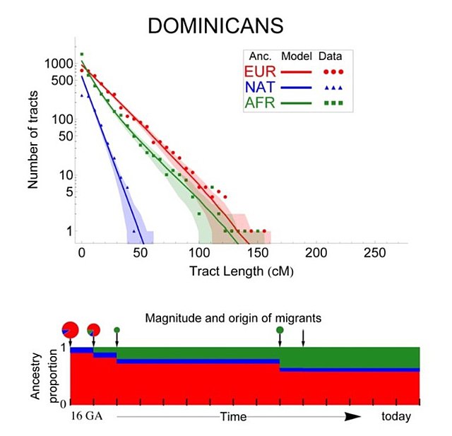 Timeline of the Dominican Republic's genetic make-up since 500 years ago, showing a predominantly European-admixed founder population and increase of 