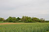 Field woods Herrgottsfeld 01.jpg