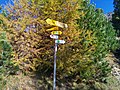 wikimedia_commons=File:Fingerpost Vallon de Réchy 2021 10 14.jpg