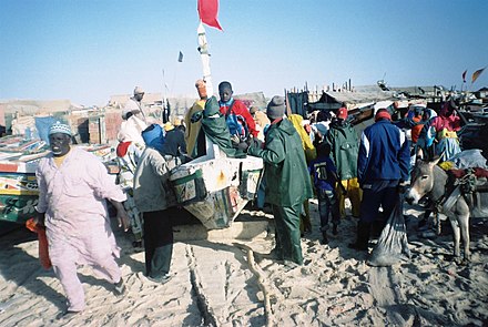 Nouakchott fishing market, Mauritania