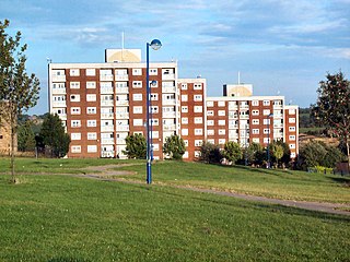 <span class="mw-page-title-main">Holme Wood</span> Human settlement in England