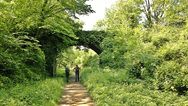 File:Footbridge to Northfield House crosses old railway - geograph.org.uk - 4078311.jpg