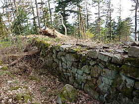 Иллюстративное изображение статьи Château du Petit-Ringelstein