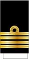 Знак Плоиарха на цевье (Πλοίαρχος)