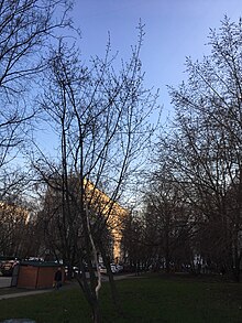 Gastello Street, Moscow - 5195.jpg