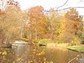 Gemeindepark Lankwitz - Parkteich (Lankwitz Parish Park - Pond) - geo.hlipp.de - 30317.jpg