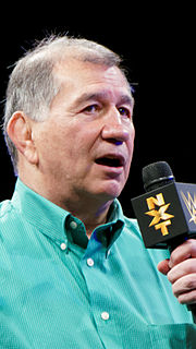 <span class="mw-page-title-main">Gerald Brisco</span> American professional wrestler and amateur wrestler
