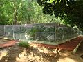 Gharial Breeding Centre