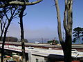 Golden Gate Bridge under fog - from The Presidio