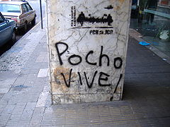 Graffiti Rosario - Pocho vive 1.jpg