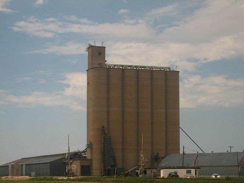 File:Grain IMG 0649.JPG