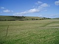 Grazing land on South Downs - geograph.org.uk - 712685.jpg