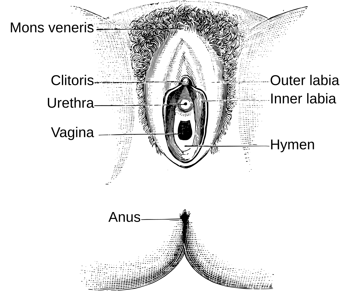 Hymen pics