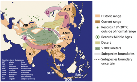 Historical distribution of the tiger[10]