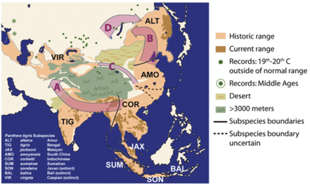 Tập_tin:Historical_tiger_distribution_PLoS_2009.png