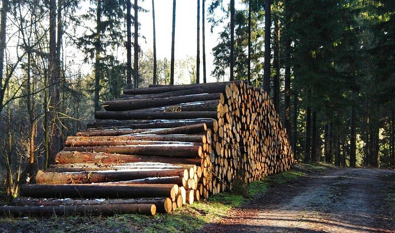 File:Holzstapel - panoramio.jpg