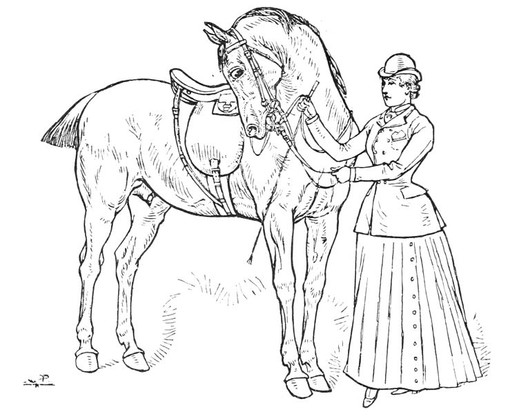 File:Horsemanship for women 050.jpg