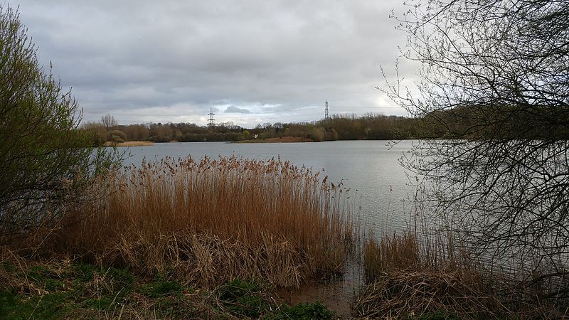 File:Hosehill Lake - March 2017.jpg