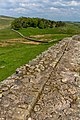 * Nomination Fortification walls at Housesteads roman fort --Mike Peel 08:39, 8 November 2022 (UTC) * Promotion  Support Good quality. --C messier 17:21, 15 November 2022 (UTC)