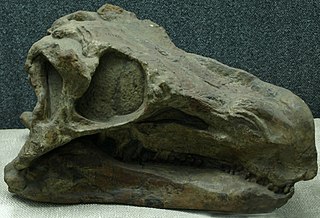 Huayangosauridae