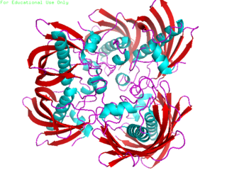 <span class="mw-page-title-main">3-Hydroxyacyl ACP dehydrase</span> Class of enzymes