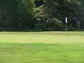 Fayl:Iford, a well played golf ball - geograph.org.uk - 2502611.jpg üçün miniatür