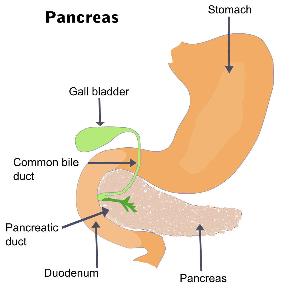 Pancreatitis-avatar