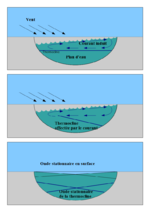 Vignette pour Seiche (hydrodynamique)