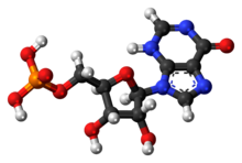 Modelo de bola y palo de la molécula de ácido inosínico