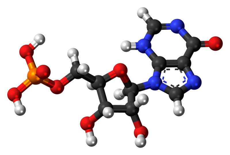 File:Inosine monophosphate 3D ball.png