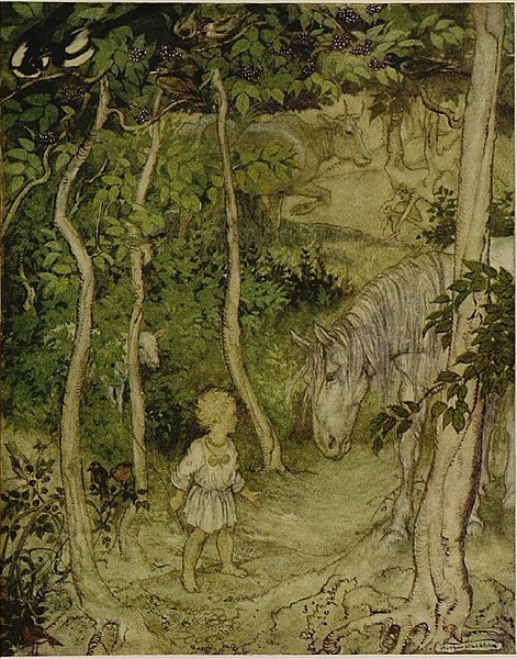 File:Irish fairy tales (1920) (14801974193).jpg