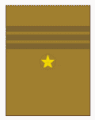 少将