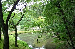 Gardens at the Kinkaku-ji