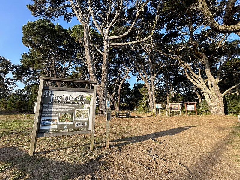 File:Jug Handle State Natural Reserve - October 2022 - Sarah Stierch 03.jpg