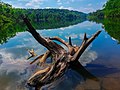 Kalatuwawa Lake, Labugama Kalatuwawa Forest Reserve.