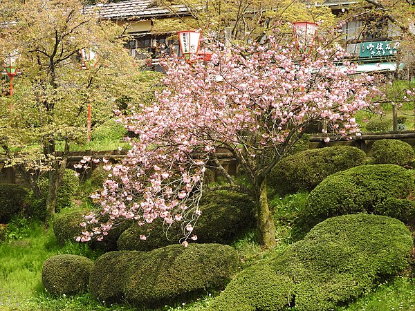 English: Kanazawa Castle Park