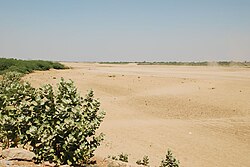 Низовье реки в сухой сезон 2008 года.