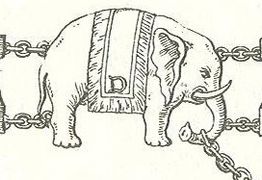 頸飾の象に頭文字「D」