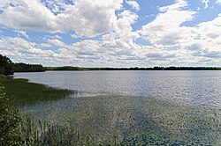 Kirkkojärveä pohjoisrannan lintutornilta