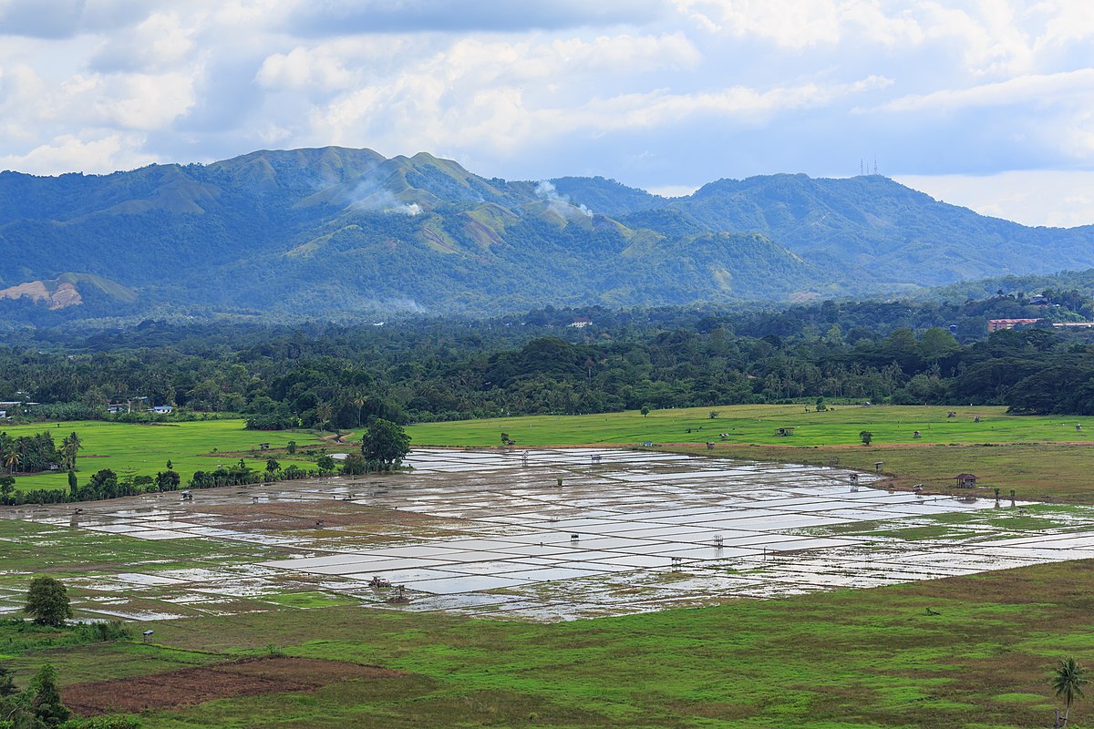  Kota  Belud   Wikip dia