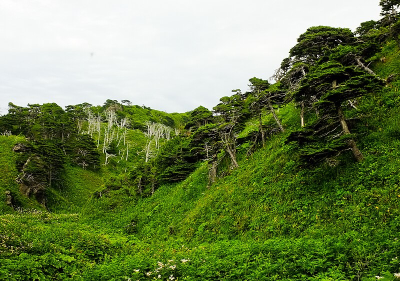 File:Kuril Islands-12.jpg