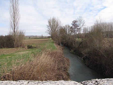 La Bargelonne 1