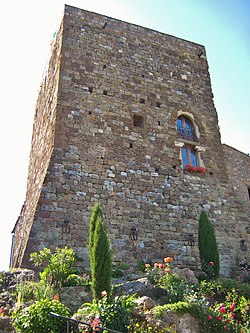 The tower of Sassa