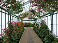 Laeken Royal Greenhouses (7).jpg