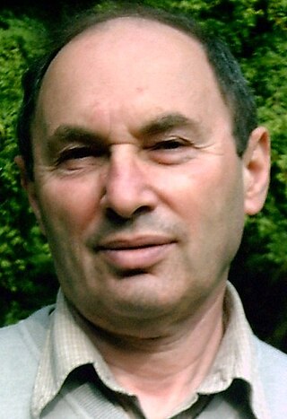 <span class="mw-page-title-main">Leonid I. Vainerman</span> Ukrainian and French mathematician