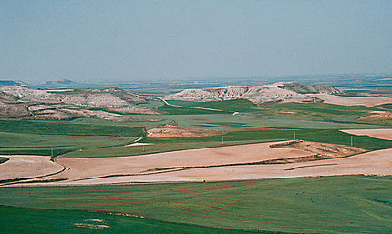 Tierra de Campos (Valladolid), juny de 1985